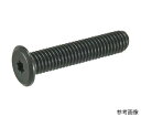 トラスコ中山 ヘックスローブ超極低頭ねじ ステンレス 黒染 M5×16 10本入 B185-0516 1パック(10本入)|詳細画像
