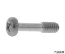 サンコーインダストリー SUSナベ小脱落防止ビス 4×15×6 (100本入) 1箱(100本入) 00-02-J050-0040X0150-00(4)