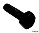 コノエ 強度区分10.9 六角ボルト 半ねじ M16x110 (30本入) 30本入 BT-109-H-16110(4)