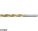 不二越 Gスタンダードドリル GSD 1.6mm 1パック(10本入) 1パック(10本入) GSD1.6(4)