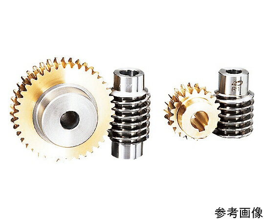 協育歯車工業 ウォームホイール G1.5A 30L1-10 モジュール1.5 圧力角20度（並歯） 1個 G1.5A 30L1-M-10