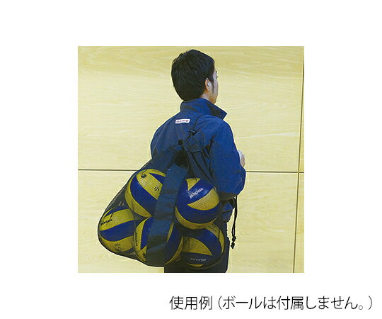 エバニュー メッシュボールケース 1枚 EKD903