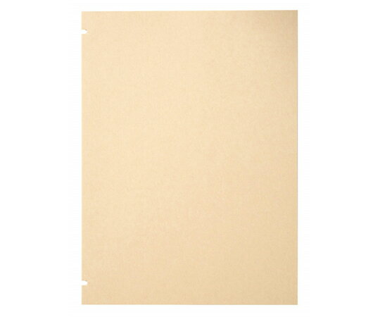 ライオン事務器 スクラップブック替台紙 1冊 No.650用