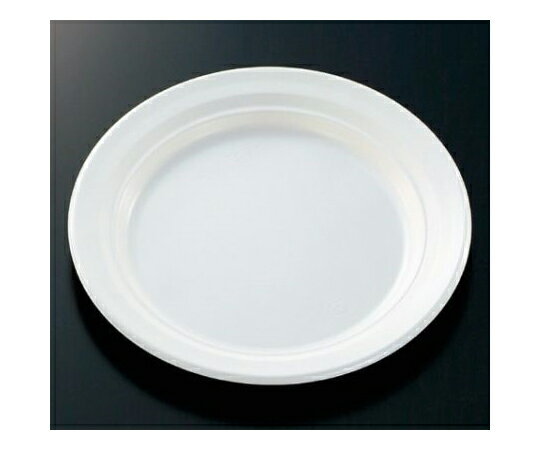 中央化学 惣菜容器 CT沙楽 M23 W 身 400枚 1ケース(400枚入) 213249