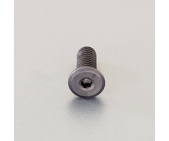 エスコ M10x12mm 六角穴付ボルト(超低頭/2本) 1袋(2本入) EA949MW-1012