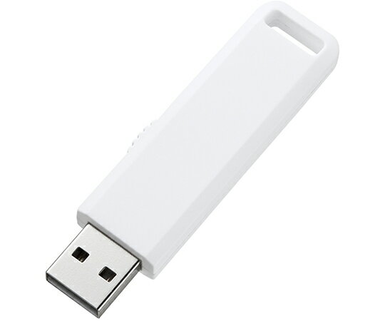 掠ץ饤 USB2.0 1 UFD-SL2GWN