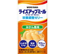 守山乳業 ライズアップミール 栄養調整ゼリー みかん風味 135g 24本入 1ケース 24本入 【軽減税率】