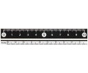 レイメイ藤井 白・黒 直定規 10センチ 黒 1本 APJ128B(4)