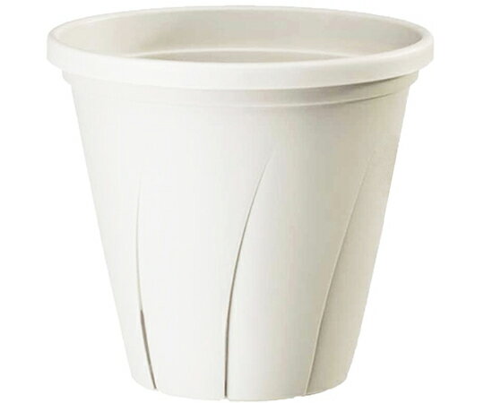 ¥ץ饹å Ϥȭ 6 1.8L ۥ磻 1