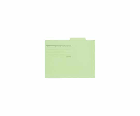 プラス 個別フォルダー　A4E　グリーン50枚 1パック(50枚入) FL-082IF