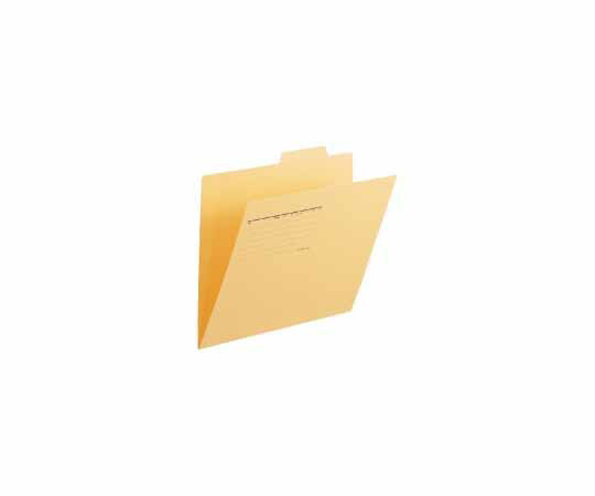 プラス 個別フォルダー　A4E　イエロー　10枚 1パック(10枚入) FL-061IF(10)