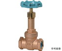 大和バルブ 給水用コアリング付きゲートバルブ 1個 10G-CN 25A