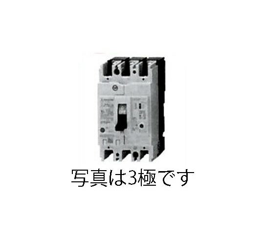 エスコ AC100-240V/ 15A/2極 漏電遮断器(フレーム50) 1個 EA940MN-11