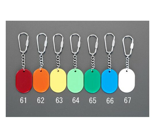 エスコ 30x45mm カラーキーホルダー(若草) 1個 EA956V-64