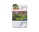 レインボー薬品 コケとーるシャワー 2L 1個(2L入)