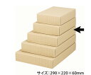 ヤマニパッケージ 贈答箱 ナチュラル60 中 100枚 1ケース(100枚入) 16-62