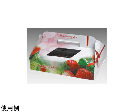 ヤマニパッケージ 青果・農産容器 ストロベリーフィールズ2P 100枚 1ケース(100枚入) L-2271