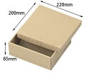 ヤマニパッケージ 贈答箱 ナチュラルBOX16号 ヒモ無 100枚 1ケース(100枚入) 16-19AN