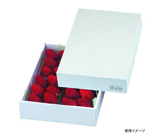 ヤマニパッケージ 青果用贈答箱 パール27 FS 50枚 1ケース(50枚入) LTO-27FS