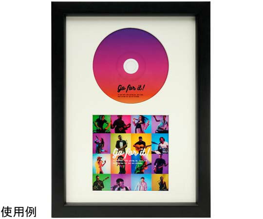 ケンコー・トキナー CDディスプレイフレーム（ディスク＆ブックレット）ホワイト 1個 PS-CDB-WH