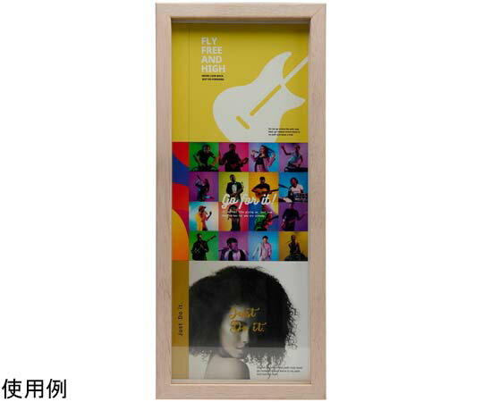 ケンコー・トキナー CDディスプレイフレーム（CDケース3枚タイプ）タテ置き用 コーラルホワイト 1個 PS..