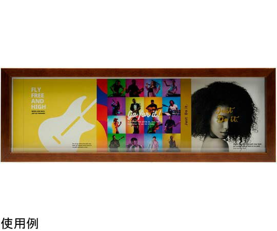 ケンコー・トキナー CDディスプレイフレーム（CDケース3枚タイプ）ヨコ置き用 ブラウン 1個 PS-CD3Y-BR