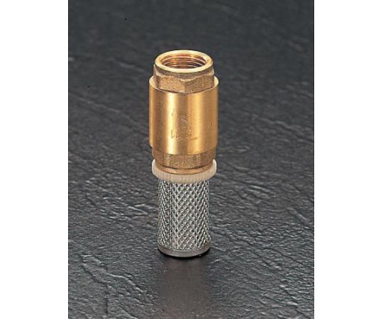 エスコ G 2" ストレーナー付逆止弁 1個 EA465LS-20