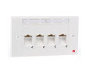 RS Pro 4xRJ45 unshielded Cat5e angled faceplate 249-5545