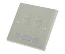RS Pro 2xRJ45 shielded Cat5e socket faceplate 262-2810
