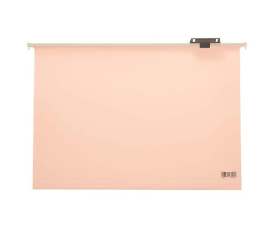 ライオン事務器 A5/163x224mm ハンガーフォルダー(20冊) EA762CE-15