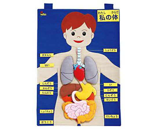 アズワン タペストリー わたしの体 SG-10-004