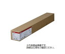 キヤノン キヤノンコート紙2 594mm×40m 1本 LFM-CP2/A1/95