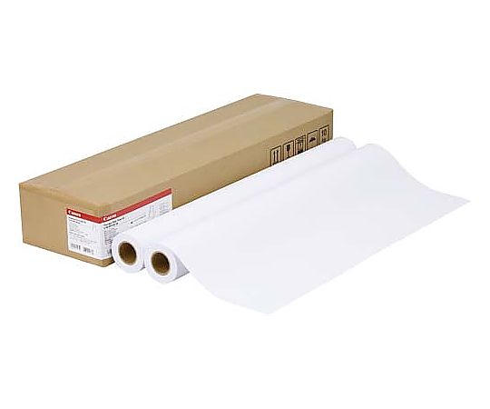 キヤノン プレミアム普通紙 LFM-PPPB1/80 2本 LFM-PPP/B1/80