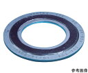 【大型品の為別途送料有】 ニチアス GRボルテックスガスケット TOMBO 1834R-GR-EEE 20K300A(4)