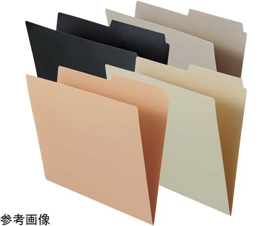 LIHITLAB 個別フォルダー ピンク F292-12