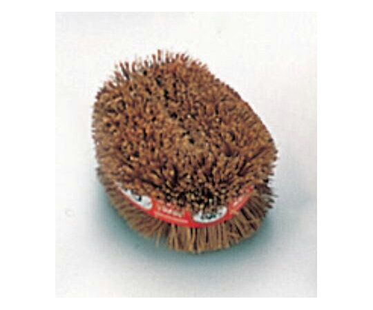 アズワン 鬼タワシ（パーム）小