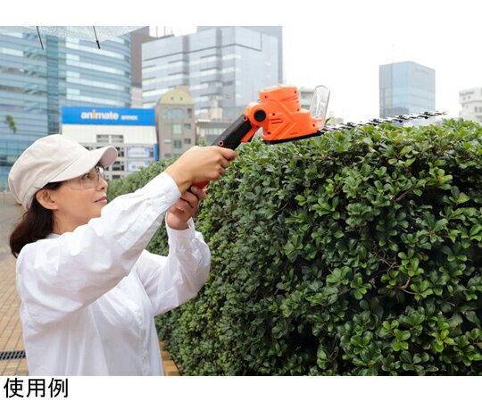 アズワンカタログ製品 ファミラ 生垣・草刈りバリカン専用 12Vバッテリー 入数:1個 04205