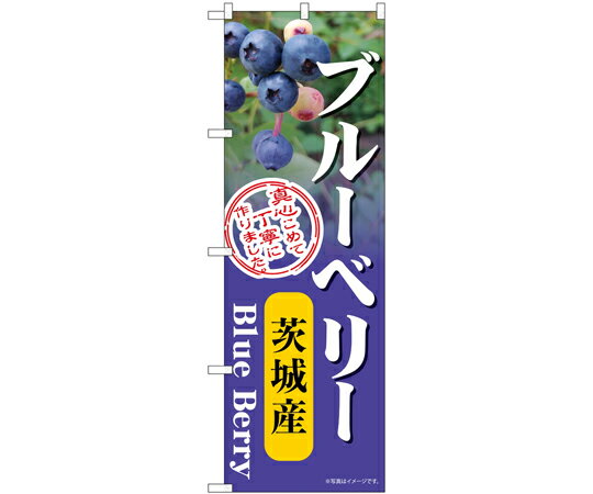 のぼり屋工房 のぼり ブルーベリー 茨城産 入数:1枚 54987