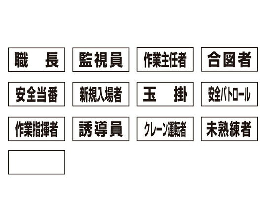 アズワンカタログ製品 作業専任者識別標識用ネームステッカー 13個入 入数:1セット(13個入) 377-492A