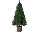 アズワンカタログ製品 スクエアベースクリスマスツリー スタンダード 高さ180cm 入数:1本 38-32-3-2
