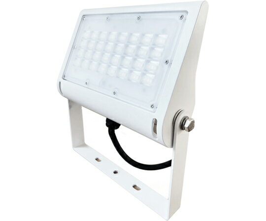 光商事 高性能LED投光器 50W 昼白色 ホワイト 1個 HTO50Y2-W