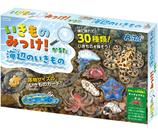 アーテック いきものみっけ！かるた うみべのいきもの 1個 21657