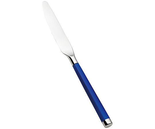 アズワンカタログ製品 オーガスト ブルー ディナーナイフ 1個 5248040