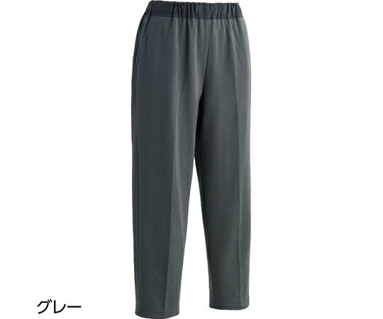 եå ꥹäȥ饤ȥѥ 졼 5LʸԲ60cm 89880 1