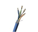 Belden Cat5e Lanケーブル 1000ft 7958A 0101000 1セット