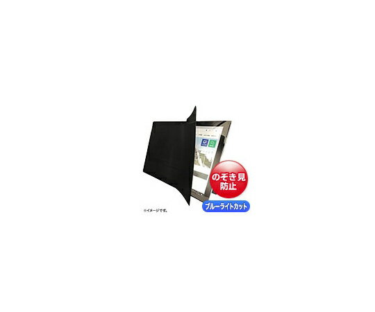 サンワサプライ 2WAY覗き見防止フィルム（iPad Air 10.9インチ対応） LCD-ZE2LN109IPADA 1式