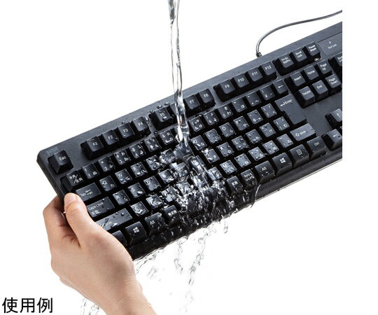 サンワサプライ 日本語109キーボード 抗菌防水防塵タイプ ブラック SKB-BS6BK 1セット