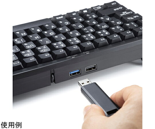 サンワサプライ USBハブ付コンパクトキーボード 86キー SKB-KG3UH3BK 1セット
