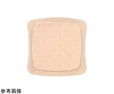コンバテック アクアセルAg フォーム 粘着式 10×10cm 10枚入 09676 1箱(10枚入)