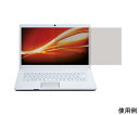 サンワサプライ 13.3インチワイド(16:9)対応ブルーライトカットフィルター CRT-ND70ST133WN 1式